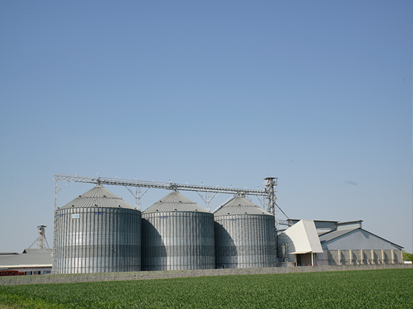 Devlet Lisanslı Depolama