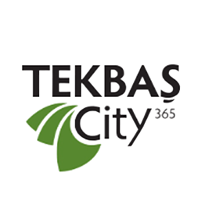 Tekbaş City
